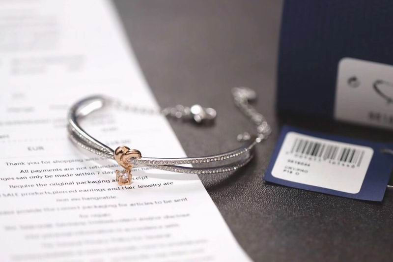Swarovski Bracelet 05lyx93 (8)